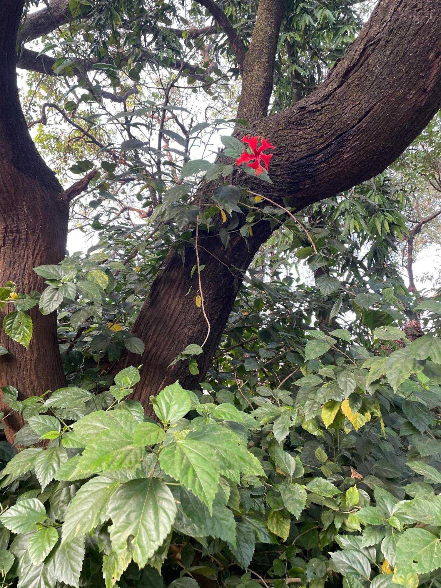 The Imperial Heritage II 2 Minutes From Station And Market II Deluxe Ac Rooms II Lonavala Eksteriør bilde